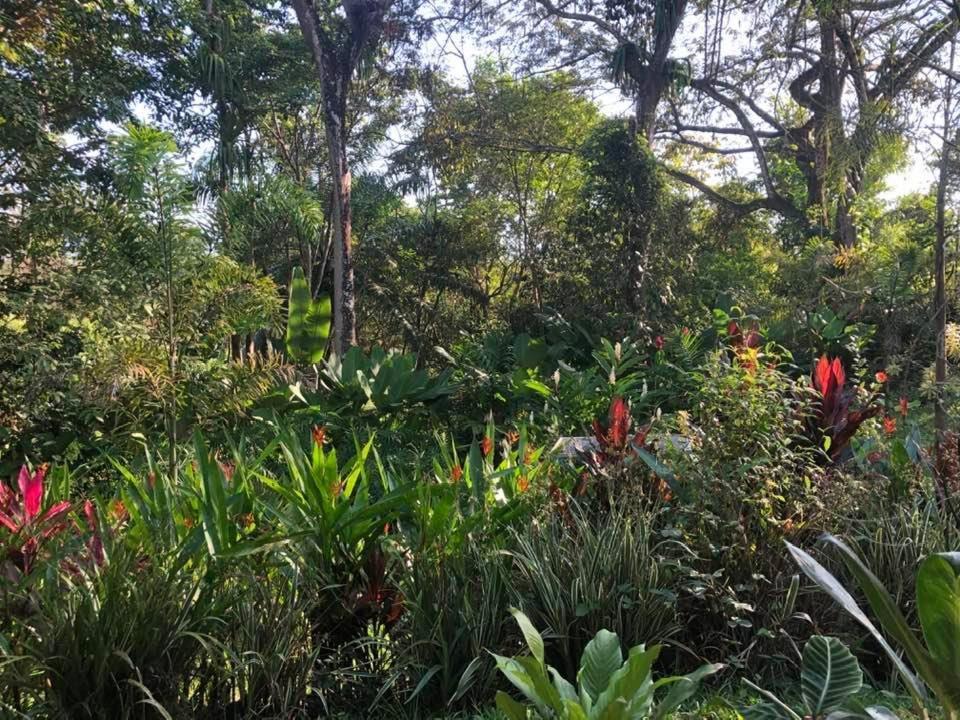 Puesta Del Sol Quepos Exterior foto