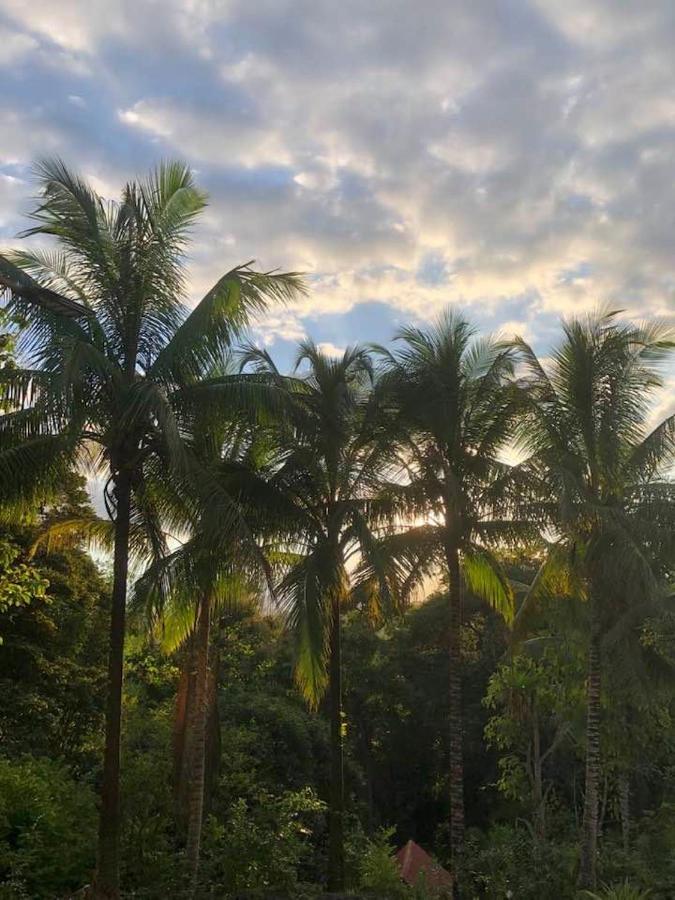 Puesta Del Sol Quepos Exterior foto